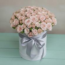 Цветочная композиция из Розы в шляпной коробке в Жирновске