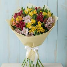 Букет цветов из:  Альстромерии #REPLACE_PRED# Жирновске