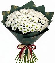 Букет цветов из:  Хризантемы в Жирновске