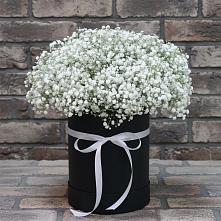 Цветочная композиция из Гипсофила в шляпной коробке #REPLACE_PRED# Жирновске