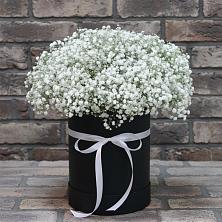 Цветочная композиция из Гипсофила в шляпной коробке в Жирновске