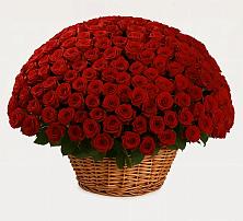 Премиум букет из: Розы в Жирновске