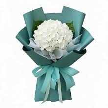 Букет цветов из:  Гортензия в Жирновске